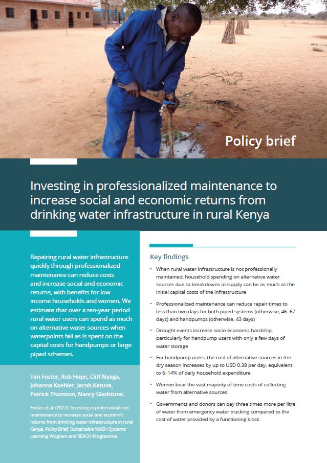 Cover: Investing in professionalized maintenance