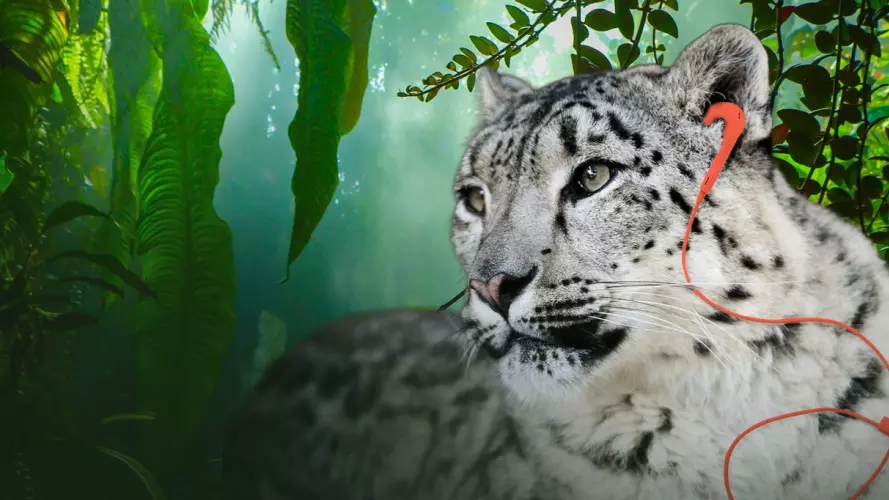 nature unheard 1282x682