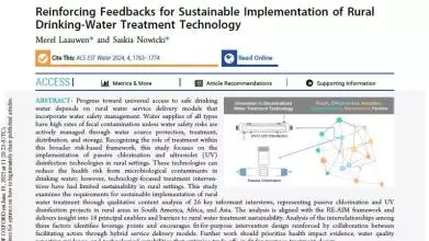 reinforcing feedbacks for sustainable implementation cover